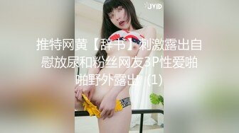 推荐HongKongDoll【玩偶姐姐】4K版本粉丝必下珍藏版，骚逼无需多言,No.3