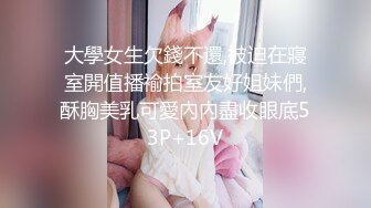 [MP4/ 849M]&nbsp;&nbsp;老哥探花年度收官之作找了两个人气高颜值妹子双飞啪啪