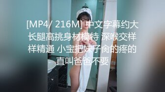 【麻豆传媒】mdhg-0016 在天桥上的享乐者-言欣恬