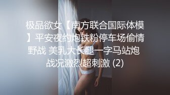 猎奇最美人妖系列张恩静9