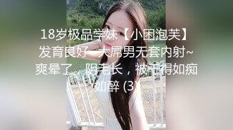 《极品反差✅淫妻泄密》露脸才是王道！推特温柔贤惠型骚妻【甜心教主】私拍~足交露出野战紫薇能玩的都玩了~以淫为乐 (8)