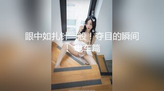 眼中如扎针一般！夺目的瞬间！ 电车篇