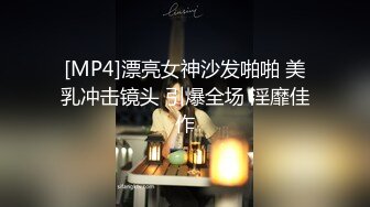 商场女厕全景偷拍几位大长腿女神级的美女少妇 (5)