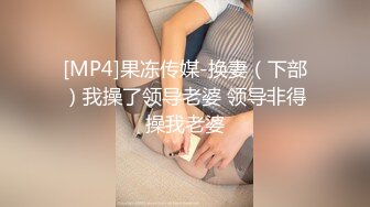 [MP4]果冻传媒-换妻（下部）我操了领导老婆 领导非得操我老婆