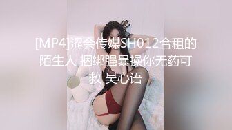 [MP4]涩会传媒SH012合租的陌生人 捆绑强暴操你无药可救 吴心语