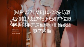 蜜桃影像PME227大胸小妹用骚逼换取哥哥疼爱.