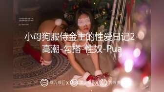 极品蓝裙气质女2