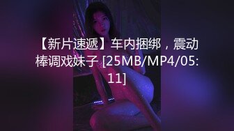 长腿模特口交后入