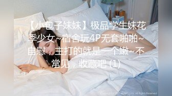 亚洲V欧美V日韩V高清V视频播放