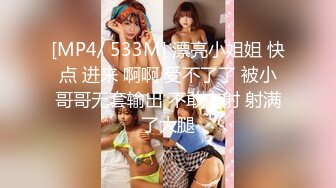 【B站up主 雯仔不讲道理】超美巨乳肥臀美腿女神各种福利[3.69G/MP4/02:12:41]