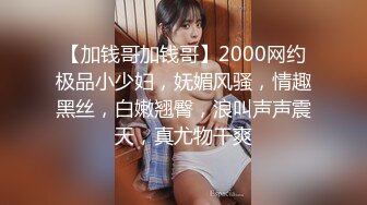 一线天馒头形坚挺豪乳火辣华裔美女小莉狂热主动为洋男友性服务先乳射一次在穿上网袜啪