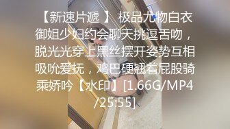 好看的小姐姐 棒棒 大胸 高颜值 极品身材 白银81 白丝兔耳女仆[162P/275M]