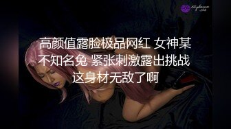 低配伪娘忽悠玩单纯直男