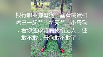 圣诞夜调教扬州人妻少妇3