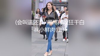 小母狗服从性调教