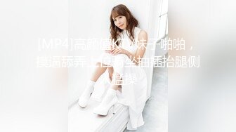 【新片速遞】&nbsp;&nbsp;超强-Ts玲芸-：❤️地铁口黑丝❤️露出、诱惑的二次元打扮，超美的妆容，刺激又大胆，夜黑风高人来人往，仙女棒监视下喷射精液！[28M/MP4/03:41]