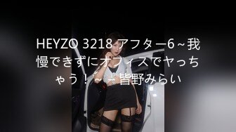 HEYZO 3218 アフター6～我慢できずにオフィスでヤっちゃう！～ – 皆野みらい