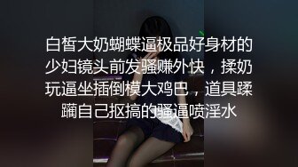 情趣内丝人妻被疯狂后入