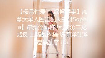 【极品性爱❤️绿帽淫妻】加拿大华人圈淫乱夫妻『Sophia』最新淫趴群P乱交①二龙戏凤 三骚战肉棒 场面淫乱淫靡操乱了 (4)