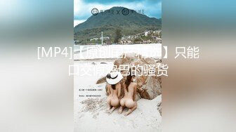 STP33051 修女隐藏淫欲被开发后的性体验 桥本香菜