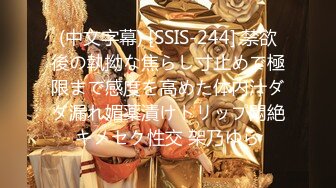 (中文字幕) [SSIS-244] 禁欲後の執拗な焦らし寸止めで極限まで感度を高めた体内汁ダダ漏れ媚薬漬けトリップ悶絶キメセク性交 架乃ゆら