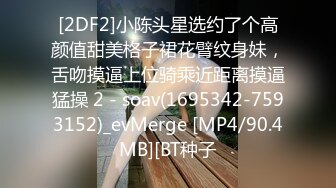 [2DF2]小陈头星选约了个高颜值甜美格子裙花臂纹身妹，舌吻摸逼上位骑乘近距离摸逼猛操 2 - soav(1695342-7593152)_evMerge [MP4/90.4MB][BT种子