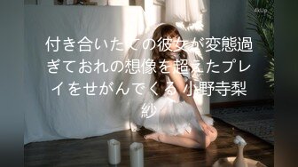 付き合いたての彼女が変態過ぎておれの想像を超えたプレイをせがんでくる 小野寺梨紗