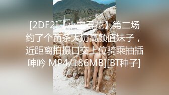 [2DF2]【小宝寻花】第二场约了个苗条大奶高颜值妹子，近距离拍摄口交上位骑乘抽插呻吟 MP4/186MB][BT种子]