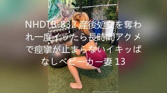 NHDTB-832 産後処女を奪われ一度イッたら長時間アクメで痙攣が止まらないイキッぱなしベビーカー妻 13