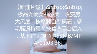 秀人网美模Jenny佳妮 迷人身躯 乳S挑逗视线 老司机必下载收藏[426P/830M]